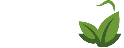Lifetime Smiles logo